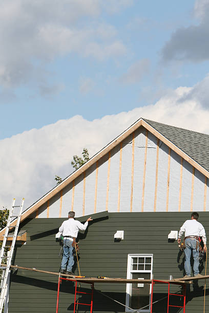 Best Siding Painting and Refinishing  in Salem Lakes, WI